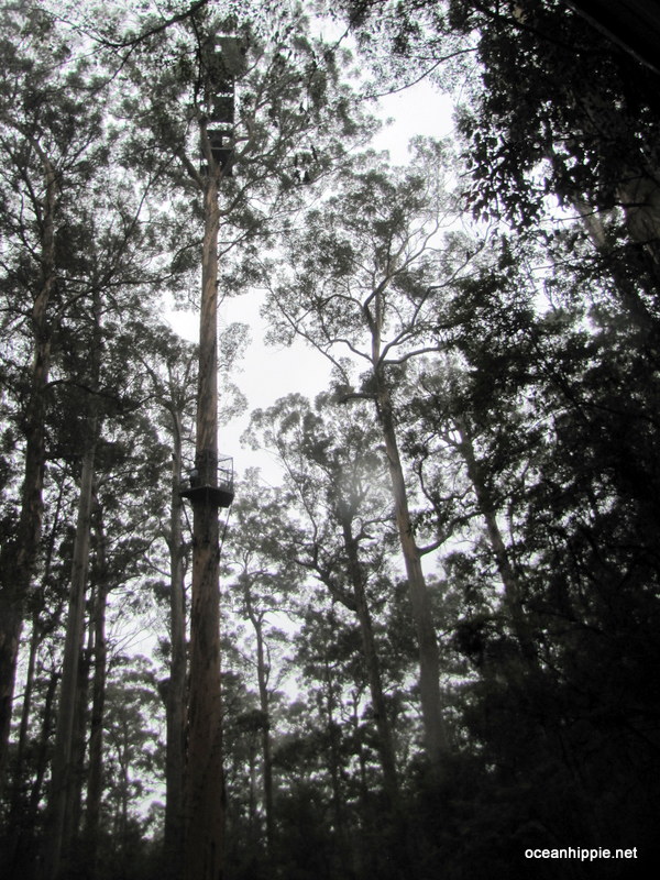 Thumbnail Photo